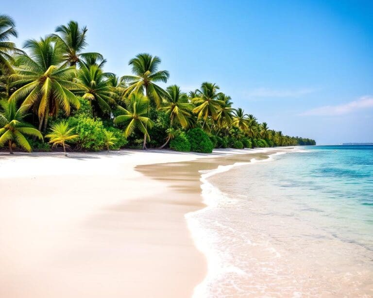 Stranden van Zanzibar: rustige kusten en tropische oases